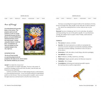 Boadicea's Tarot of Earthly Delights kortos Schiffer Publishing